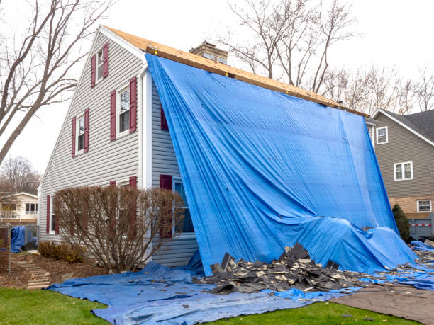 Best Historical Building Siding Restoration  in Cooper, TX