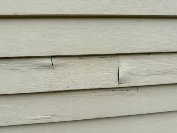 Best Siding for New Construction  in Cooper, TX