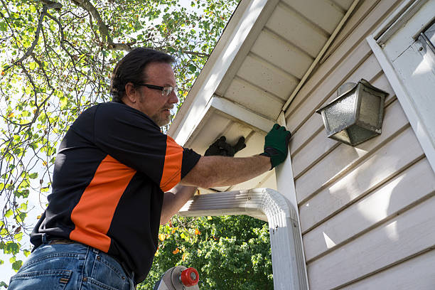 Best Fiber Cement Siding Installation  in Cooper, TX